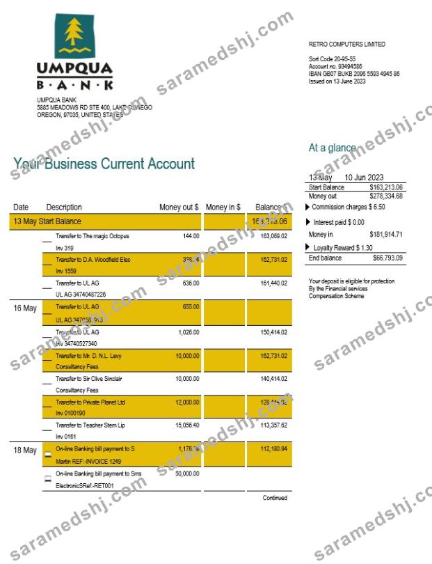 Umpqua Bank organization checking account statement Word and PDF template